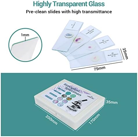100Pcs Prepared Microscope Slides with Specimens for Kids Science Learning - Image 2