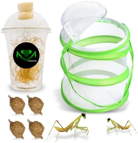 USMANTIS T Sinensis Mantis Egg Cases Pack of 4 with Habitat Kit by USMANTIS