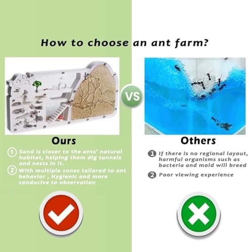 Ant Farm Castle - Large Viewing Area - Care for Live Ants - Ant Colony Observation Kits with Sand Habitat - Educational Science Gifts for Boys, Girls - Ant Farms for Kids, Adults, Student (Yellow) - Image 3