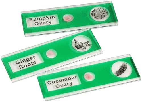 Prepared Microscope Slides for Kids – 12 Plastic Vegetable Specimens with Labels & Images – Safe, Durable Biology Science Kit for Students Ages 8+ - Image 4