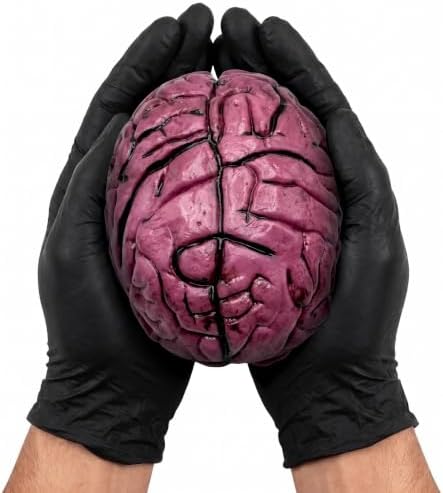 PMU Fake Brain, Brain Model Anatomy Halloween Decor by PMU