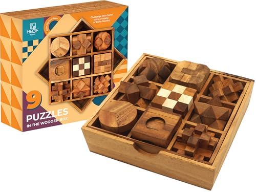 BSIRI 9 in 1 Wooden Brain Teaser Puzzles for Adults Teens Box Set Wood Hard Level 10 Impossible Mind Wood Brain Teaser Games 3D Hand Puzzle Sets for Decoration and Mini Toys by HB3FbyBSIRI