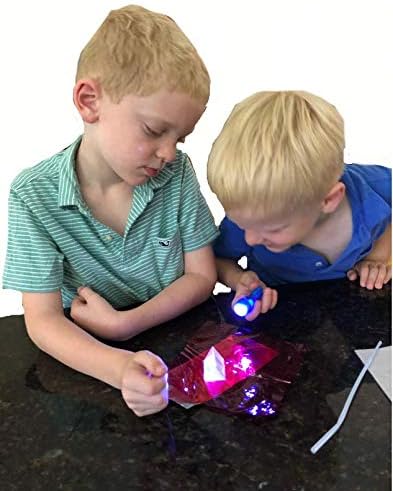 Young Scientists Series - Bones & Muscles, The Senses and Light - Image 2