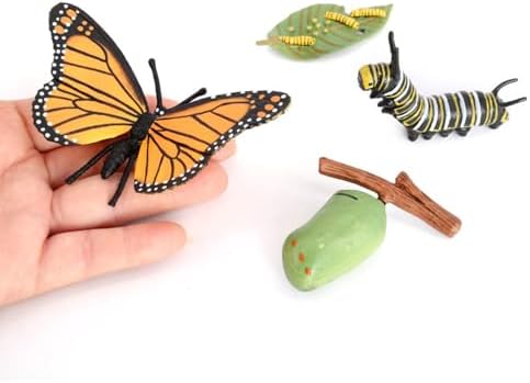 Butterfly Growth Cycle, Animal Growth Cycle Biological Model, Growth Stage Lifelike Butterfly Life Cycle Model Set for Kids Education Insect Themed Party Favors - Image 4