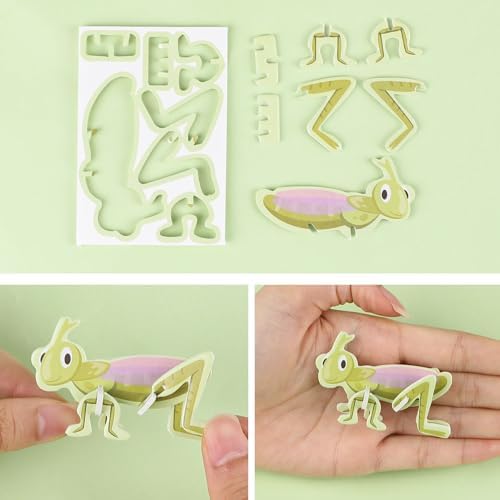 LOMIMOS Educational 3D Cartoon Puzzle,3D Cartoon Jigsaw Creative Learning Model for for Boys & Girls Art DIY Craft Gift Decor (Insect) - Image 3