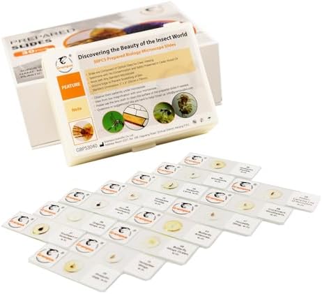 30 Prepared Microscope Slides with Specimens for Kids Students - Insects, for Biological Science Lab, Children's Science Education, Homeschooling Use by Unknown