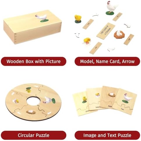 ancona Life Cycle- Chicken, English Monolingual, Montessori Preschool Memory Matching Game Box Set with Animal Figurines & Matching Puzzle Cards, Early Education Toy - Image 2