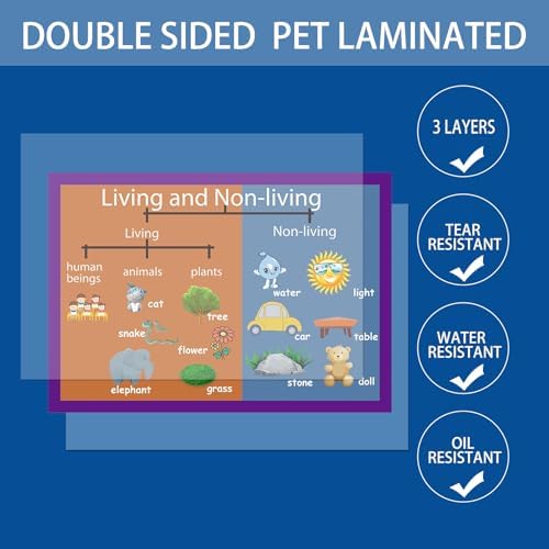 Living and Non-living Mind Mapping| Educational Posters for Kids(17x24in) - Image 3