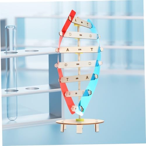 DNA Model Kit DIY Double Helix Educational Science Toy for Kids - Image 3
