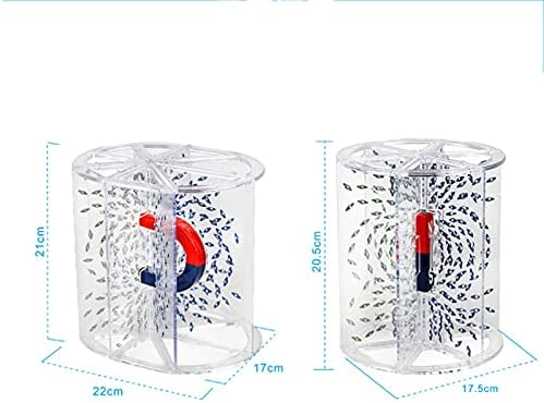 GagalU Physics Experiment Equipment, Three-Dimensional Magnetic Line Demonstrator, Showing The Space Around The Magnetic Field, Used for Teaching Physical Magnetic Field in Middle School - Image 3