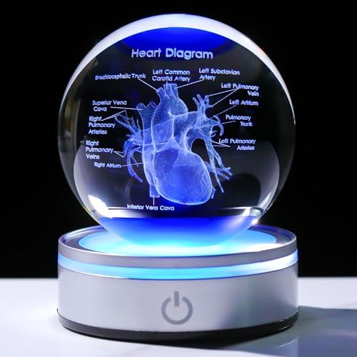 3D Heart Model Crystal Ball Doctors Gift, Cardiologist Gift for Men and Women with Colorful LED Base, Medical Statue for Psychology Graduation, Christmas Heart Anatomy Art Decor by LAFT