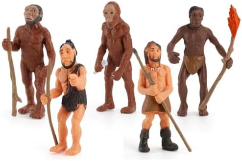 Montessori Animal Life Cycle Figurines by Unknown