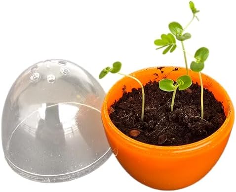 Toys By Nature Mini Terrarium Moving Plant Bundle, 100% USA Made Complete Starter Kit for Indoor Planting, Interactive Gardening Experience and Easy to Grow Seeds Just Add Water, 5-Pack - Image 2