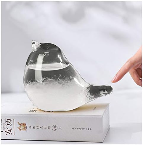 Hovico Storm Weather Forecaster, Water Drop Weather Predictor, Drop-Shaped Glass Barometer, Home and Office Decorative Glass Bottles (A) - Image 7