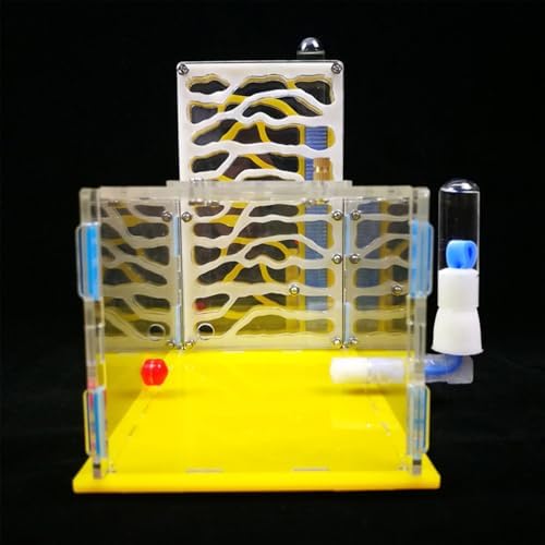 DIY T Design Acrylic Farm with Feeding Area Clear Plastic Villa for Kids Adults Educational Science Project Gift Yellow - Image 4