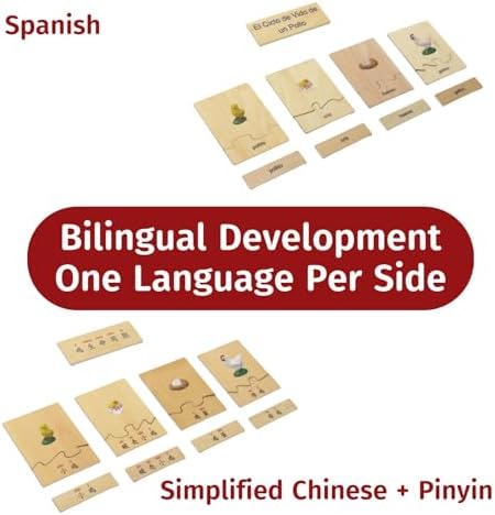ancona Life Cycle- Chicken, Spanish/Simplified Chinese with Pinyin Bilingual, Montessori Preschool Memory Matching Game Box Set with Animal Figurines & Matching Puzzle Cards, Early Education Toy - Image 3