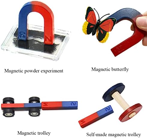 Labs Junior Science Magnetism Set for Experiment Education, Science Magnet Experiments for Kids Teen Including Bar/Horseshoe/Ring Magnets/Compass - Image 3