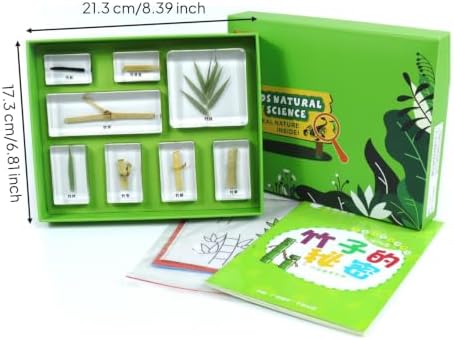 harayaa Children Learning Educational Kit with Resin Sample Blocks Tray Box Cards and Printed Organized Biology Collection, Array, Bamboo S Secret - Image 6