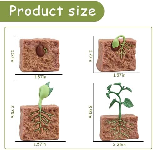 Mbrain 4 pcs Plant Growth Cycle with Flash Cards,Life Cycle Learning & Education Toys,Montessori Toys,Gift for Girl & Boy for 3 4 5 6 7 Year Old (Plant) - Image 2