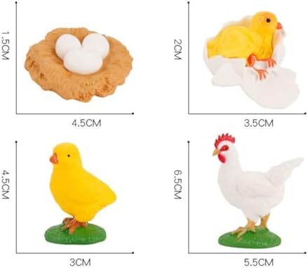 Montessori Life Cycle Animal Figures with Flash Cards, Lifelike Animal Growth Cycle Biological Model Set (Rooster) - Image 2