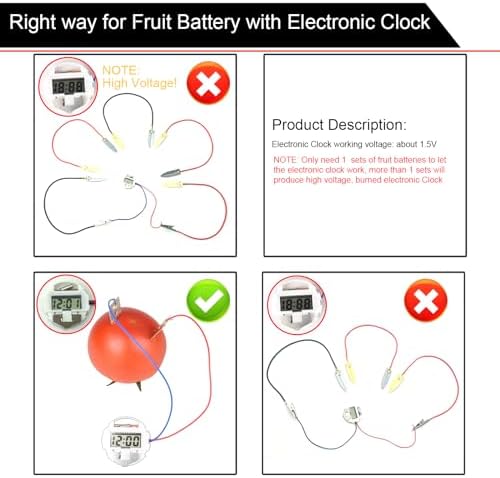 EUDAX Fruit Battery Science Experiment Kit for DIY School Home Teaching Equipment, Orange Lemon Potato Electronic Clock Science Project Kit Physics Educational for Students Teachers (4 Set) - Image 3