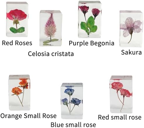 13pcs Ucubwfu Plant Specimen, Drip Resin Dried Flower Specimen, Real Flower Specimen for Microscope, Science Education Products for Kids - Image 3