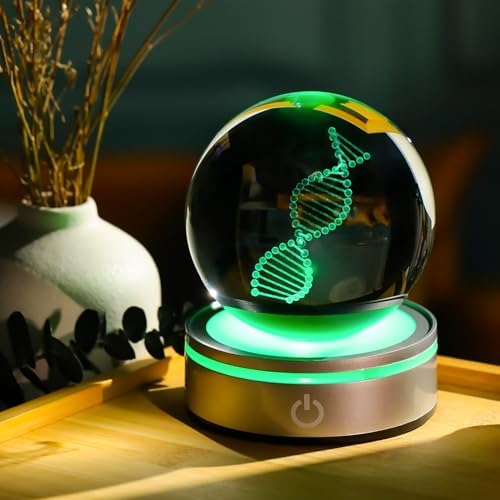 DNA Crystal Ball with LED Base - Unique 3D Laser Engraved Science Decor, Gift for Biology Teachers, Medical Students & Science Lovers, Classroom Lab Decor Night Light - Image 5