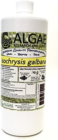 Algae Research Supply Algae Culture Isochrysis Galbana, Perfect for School Science Fairs/Projects, Experiments & Classrooms (1000mL) by Algae+Research+and+Supply