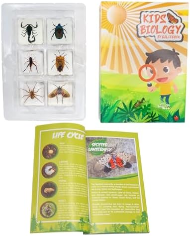 Insect Specimen Set, Bugs Collection Scientific Education Gift for Kids Aged 3-8-12 (Spider, Scorpion, Cricket, Chafers, Stink Bug, Spotted Lanternfly Resin Collection) - Image 5
