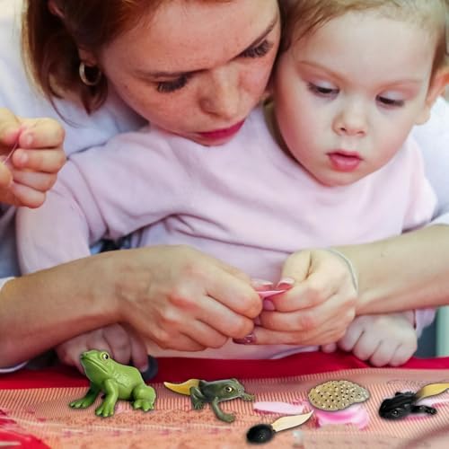 Life Cycleinsects Toys - 6Pcs Educational Figurine Set Ladyybuges - Image 2