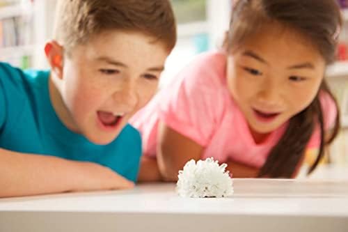 4M Glow Crystal Growing Kit - Grow a DIY Crystal Experiment Specimen, A Great Educational STEM Toys Crystal Making Gift for Kids & Teens, Boys & Girls - Image 5