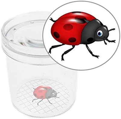 8 Pieces Bug Viewer Critter Insect Cage Magnifying Insect Box Bug Magnifier Container Bug Catcher Cage, Science Nature Exploration Tools - Image 3
