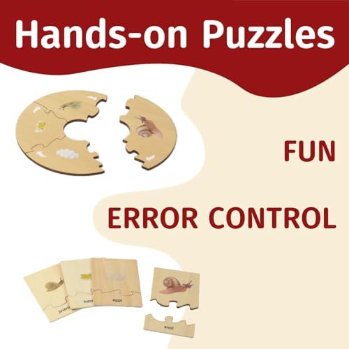 ancona Life Cycle- Snail, English Monolingual, Montessori Preschool Memory Matching Game Box Set with Animal Figurines & Matching Puzzle Cards, Early Education Toy - Image 3
