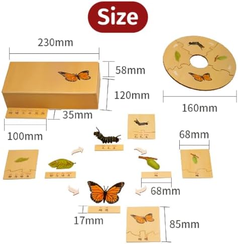 ancona Life Cycle- Worm, Spanish/Simplified Chinese with Pinyin Bilingual, Montessori Preschool Memory Matching Game Box Set with Animal Figurines & Matching Puzzle Cards, Early Education Toy - Image 6