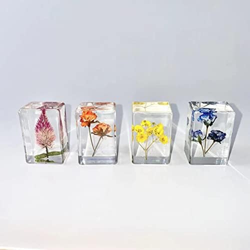 13pcs Ucubwfu Plant Specimen, Drip Resin Dried Flower Specimen, Real Flower Specimen for Microscope, Science Education Products for Kids - Image 5