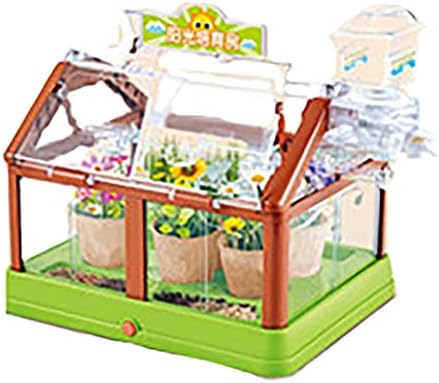 DIY Planting Sun Room Children's, Small Scientific Experiment of Vegetable Plant Observation in Sunshine Room Plant Observation House, and a Fun Lighting Toy Set (Color : Green) by Unknown