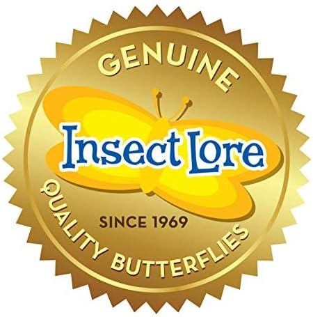 Insect Lore Butterfly Garden Gift Set 8" Habitat - Live Cup of 5 Caterpillars - Includes Stickers and Extras - Life Science & STEM Education Kit - Grow, Raise and Release Painted Lady Butterflies