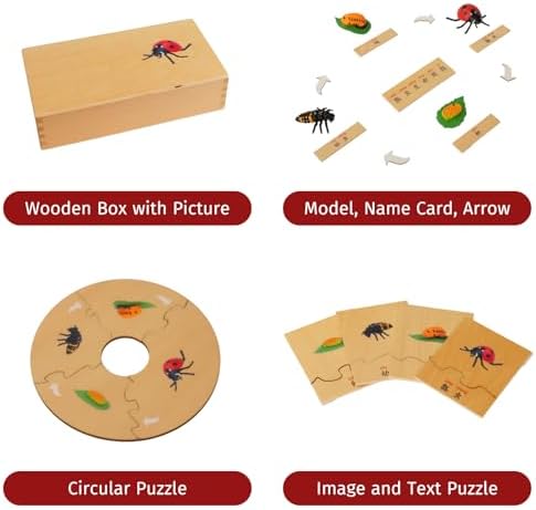 ancona Life Cycle- Ladybug, English Monolingual, Montessori Preschool Memory Matching Game Box Set with Animal Figurines & Matching Puzzle Cards, Early Education Toy - Image 2