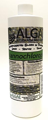 Algae Research Supply Algae Culture Nannochloropsis Occulata, Perfect for School Science Fairs/Projects, Experiments & Classrooms (500mL) by Algae+Research+and+Supply