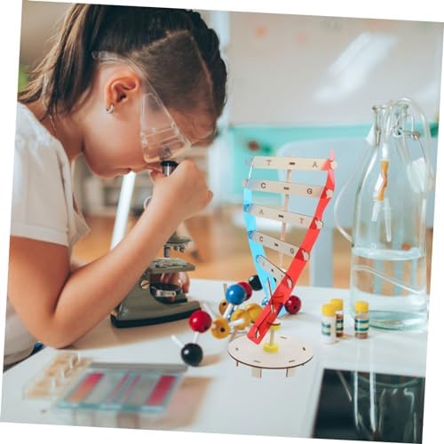 Gene DNA Double Helix Model Wood Plastic Science Teaching Aid - Image 3