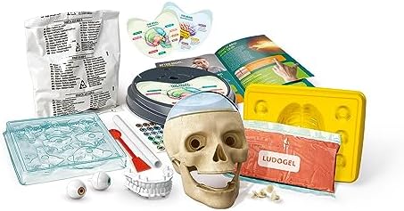 Clementoni - 61520 - Science & Play Crazy Anatomy Scientific Kit for Children - Ages 8 Years Plus - Image 2