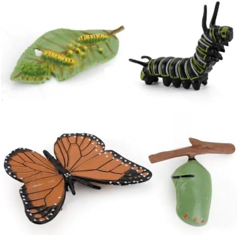 Montessori Animal Life Cycle Figurines by Unknown
