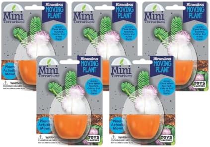 Toys By Nature Mini Terrarium Moving Plant Bundle, 100% USA Made Complete Starter Kit for Indoor Planting, Interactive Gardening Experience and Easy to Grow Seeds Just Add Water, 5-Pack by ToysByNature