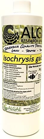 Algae Research Supply Algae Culture Isochrysis Galbana, Perfect for School Science Fairs/Projects, Experiments & Classrooms (500mL) by Algae+Research+and+Supply