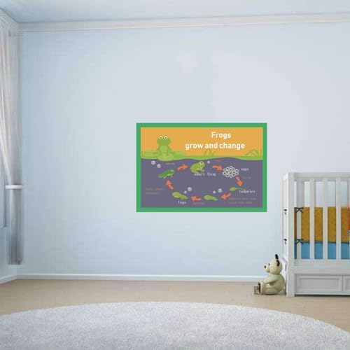 Frogs grow and change Mind Mapping| Educational Posters for Kids(17x24in) - Image 5
