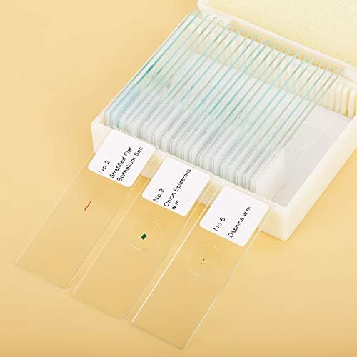 Prepared Microscope Slides Set, 25 Piece Glass Specimen Collection with Labeled Plant Animal Cell Samples for Biology Labs Students Standard 75 x 25 mm Boxed Set - Image 6