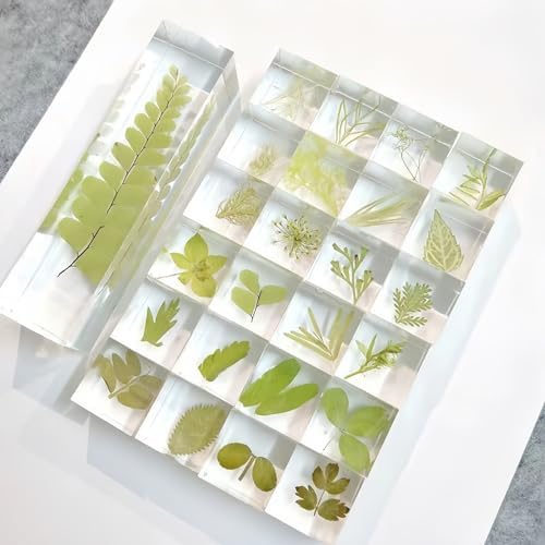 12pcs Plant Specimens,Resin Squares, Decorations,Children's Science Education Supplies,Drip-Dried Resin Flower Specimens,Real Flower Specimens for Microscope (Colorful) - Image 4