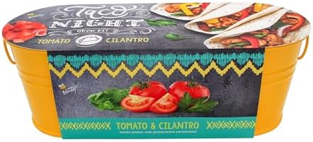 Buzzy Seeds Taco Night Grow Kit, Metal Planter, Tomato & Cilantro Seeds by BUZZY