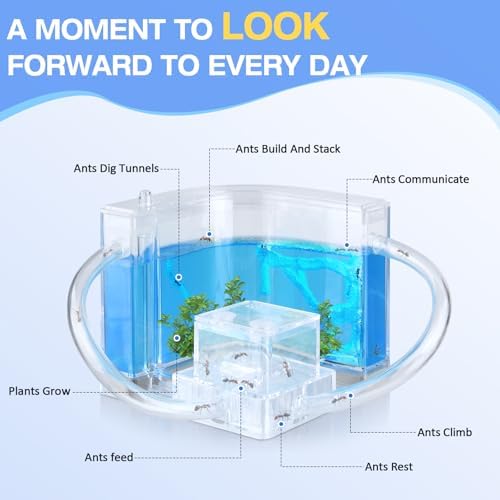 Ant Nest, Ant Habitat Kit - Image 3
