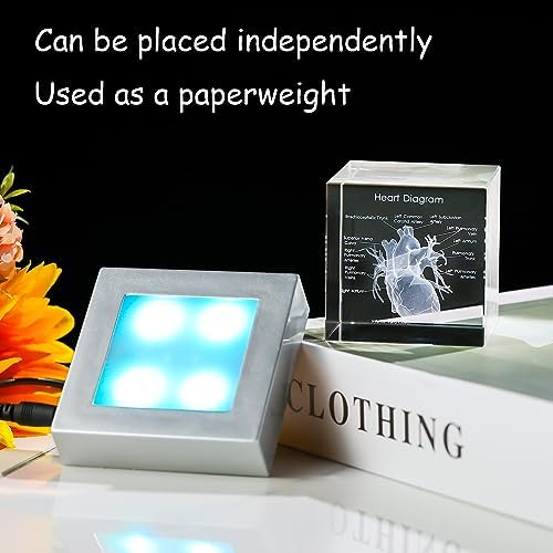 Movdyka 3D Crystal Human Heart Model Doctor Gifts for Men Women - Image 4